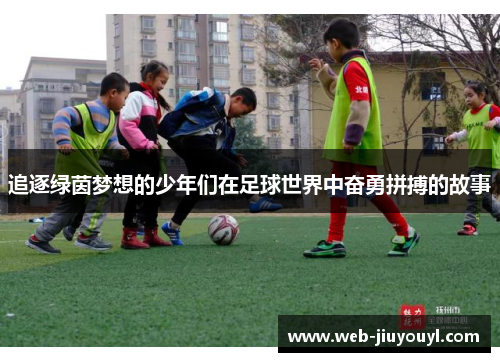 追逐绿茵梦想的少年们在足球世界中奋勇拼搏的故事